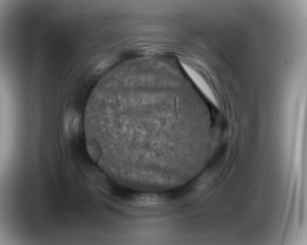 X0000086760123200704271738