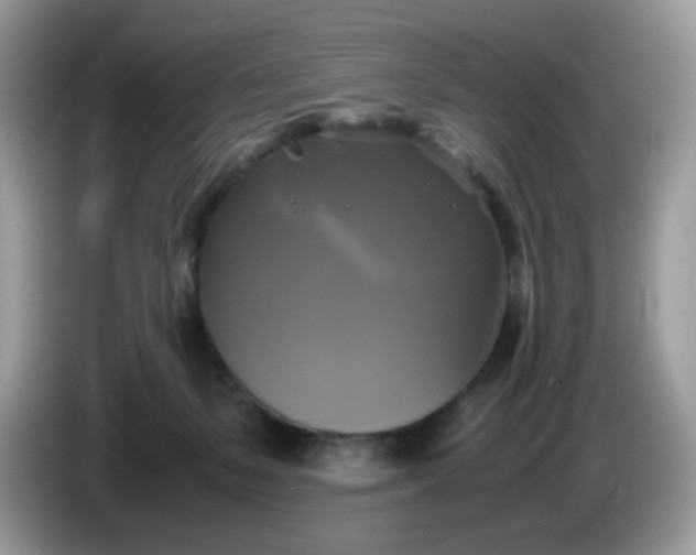 X0000086760127200704271738