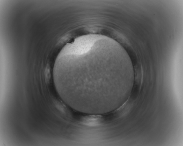 X0000086760128200704271738