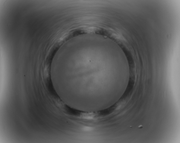 X0000086760131200704271738