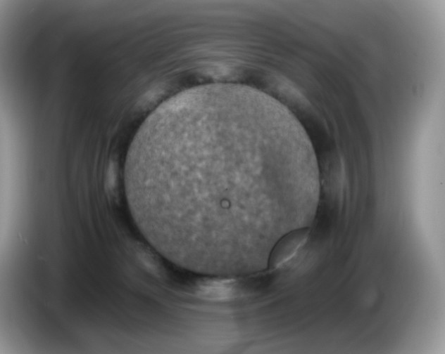 X0000086760132200704271738