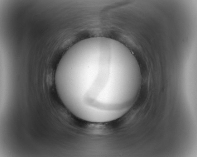 X0000086760133200704271738