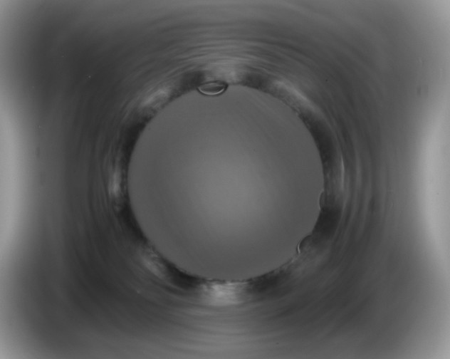 X0000086760134200704271738