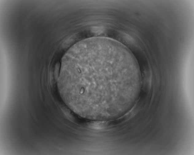 X0000086760136200704271738