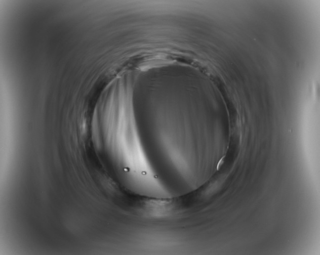 X0000086760139200704271738