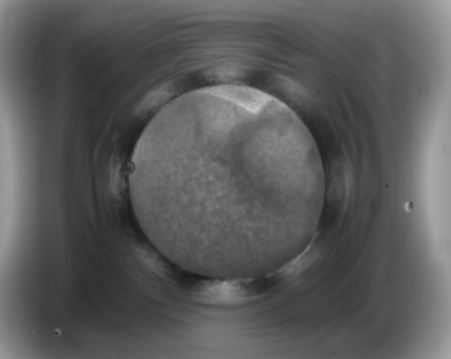 X0000086760140200704271738