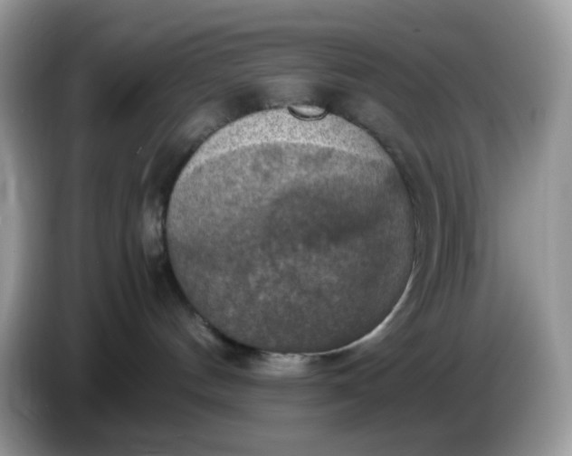 X0000086760144200704271737