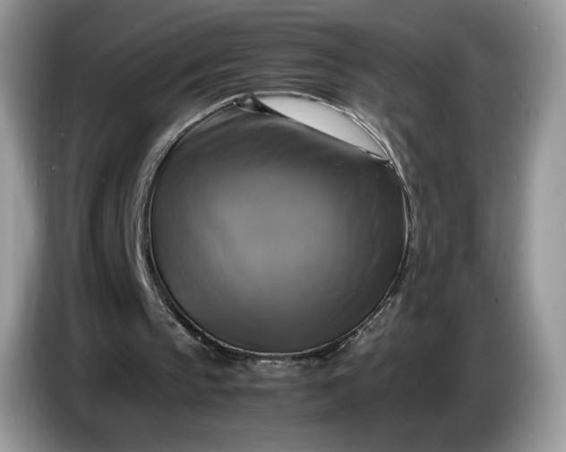 X0000086760145200704271737