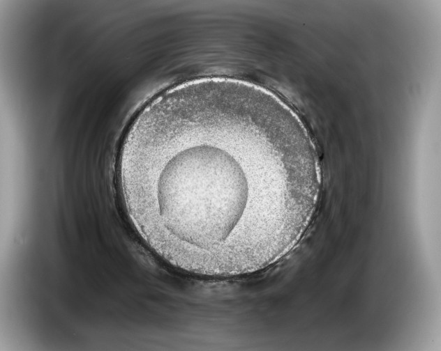 X0000086760146200704271737