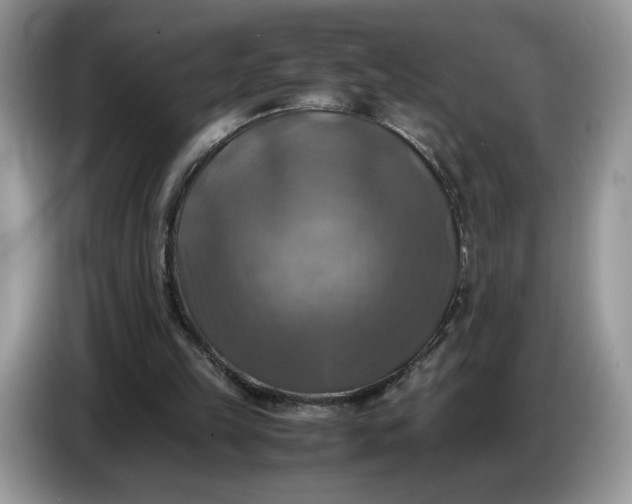 X0000086760149200704271737