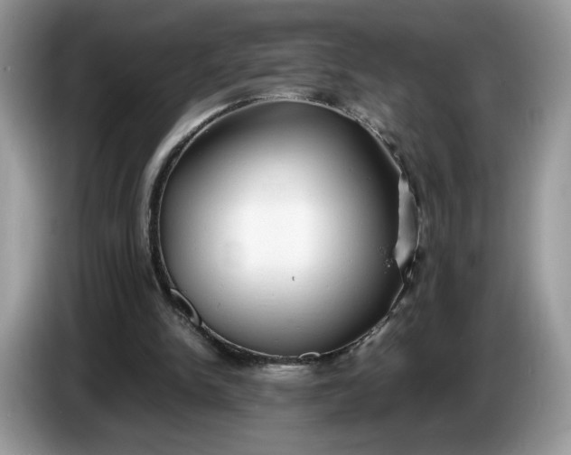 X0000086760150200704271737