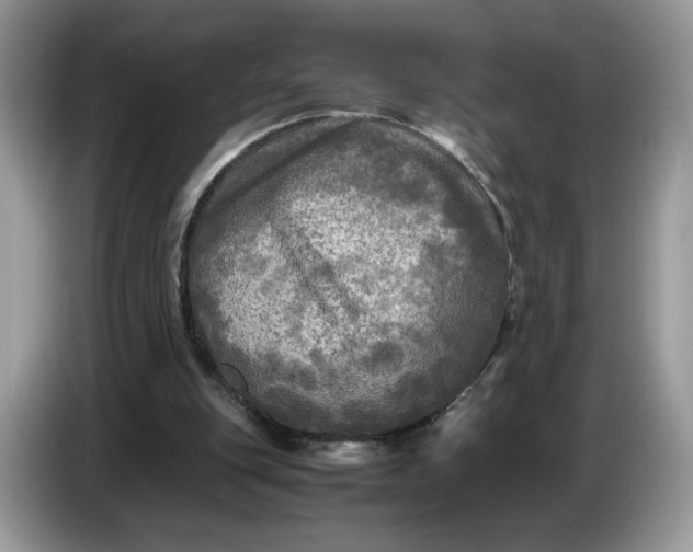 X0000086760151200704271737