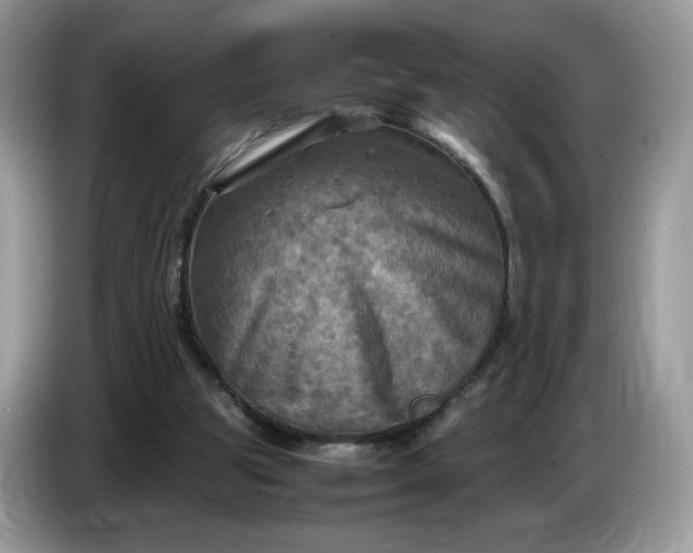 X0000086760153200704271737