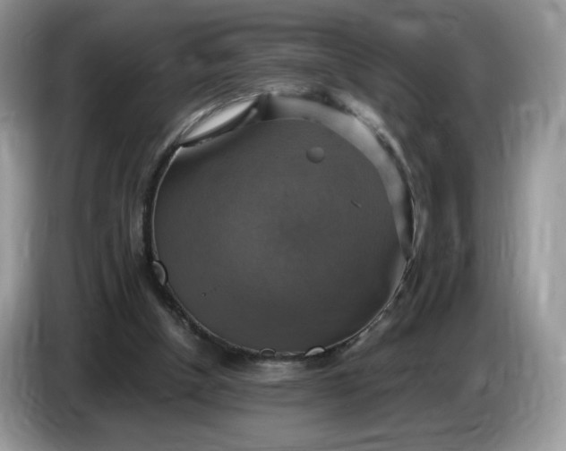 X0000086760154200704271737