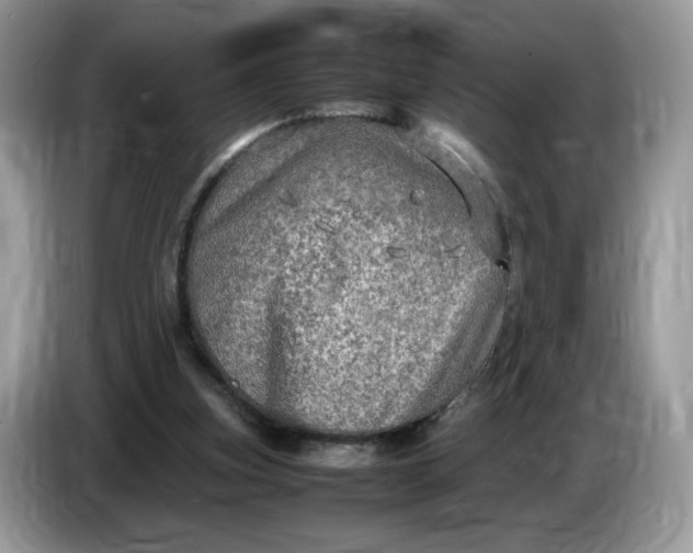 X0000086760155200704271737