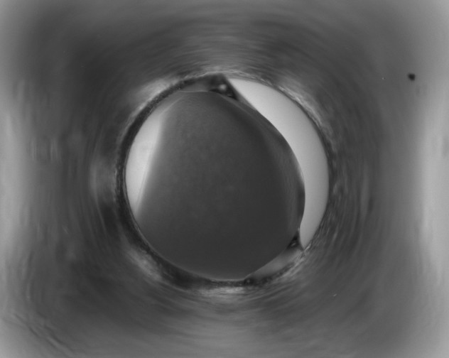 X0000086760156200704271737