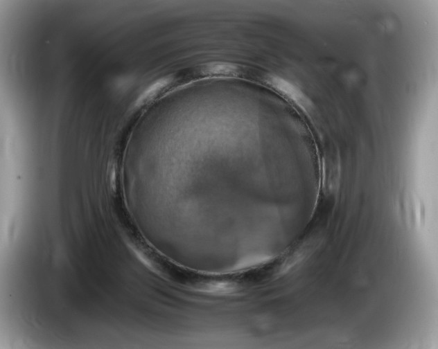 X0000086760157200704271737