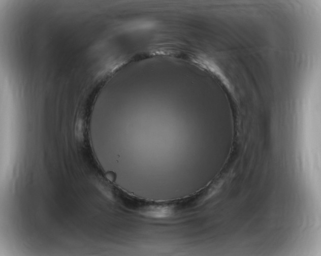 X0000086760161200704271737