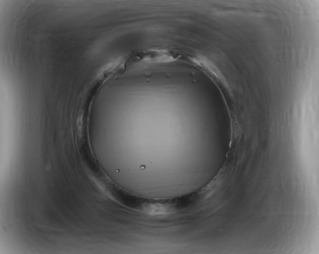 X0000086760163200704271737