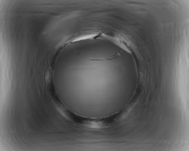 X0000086760165200704271737