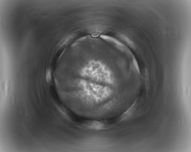 X0000086760166200704271737