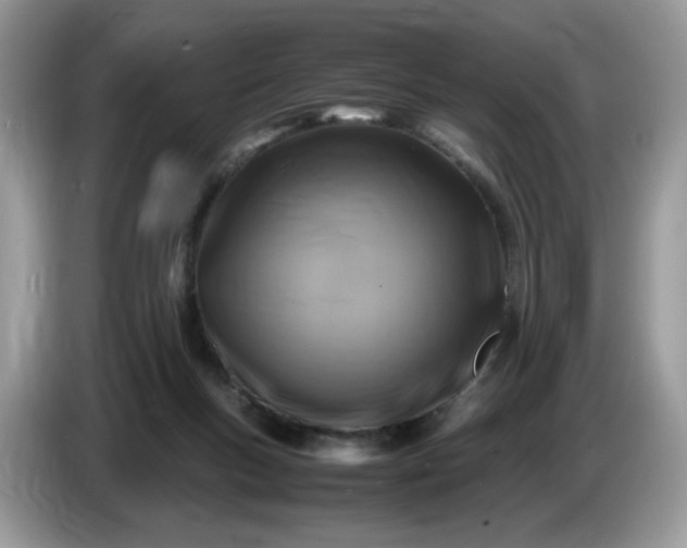 X0000086760167200704271737