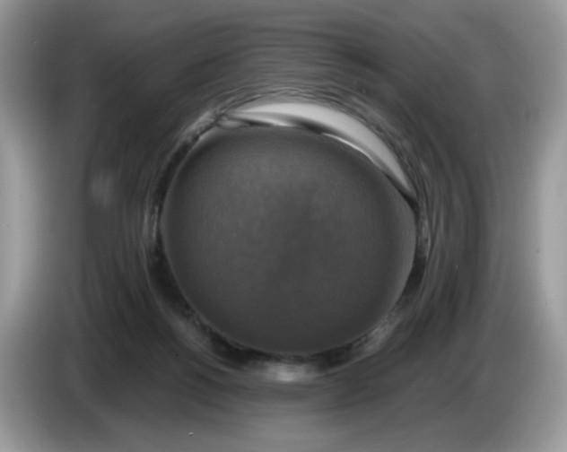 X0000086760168200704271737