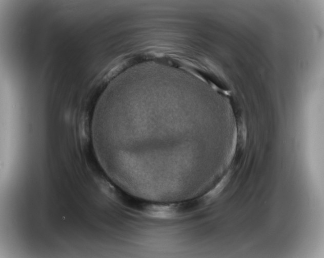 X0000086760170200704271737