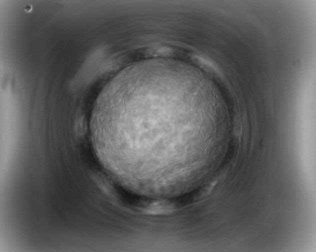 X0000086760173200704271737