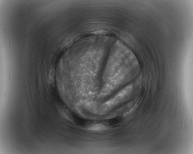 X0000086760175200704271737