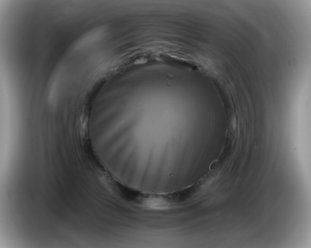 X0000086760177200704271737