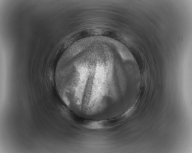 X0000086760178200704271737