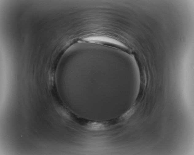 X0000086760180200704271737