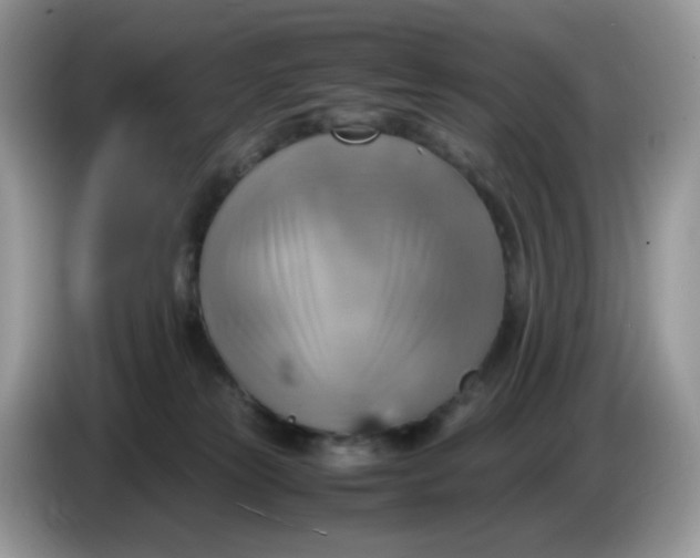 X0000086760181200704271737