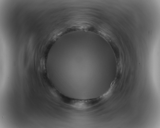 X0000086760182200704271737