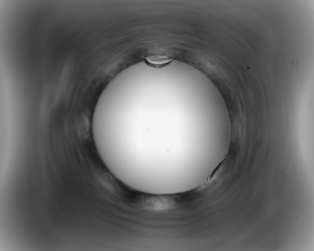 X0000086760183200704271737