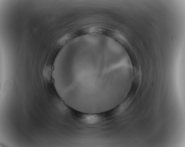 X0000086760189200704271737