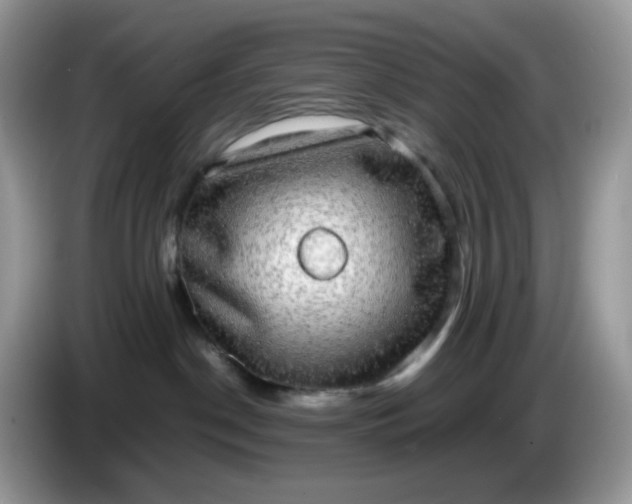 X0000086760190200704271737