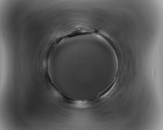 X0000086760192200704271737