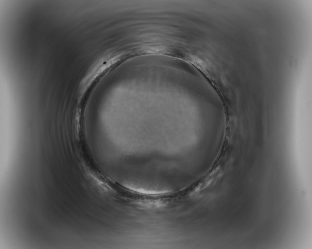 X0000086760194200704271737