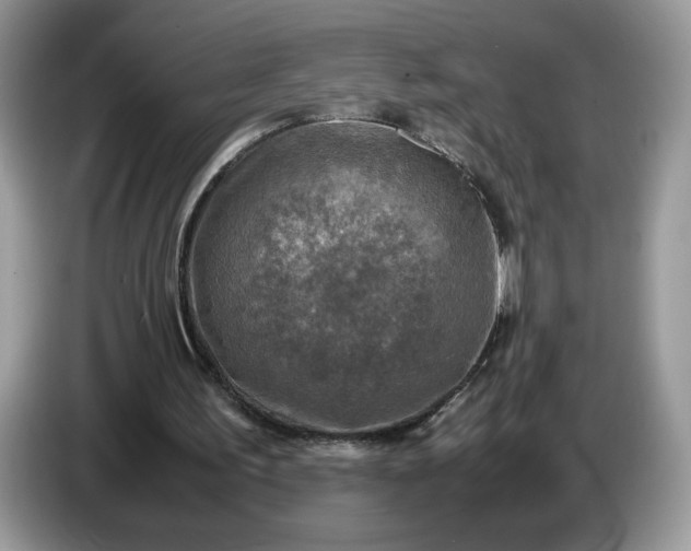 X0000086760195200704271737