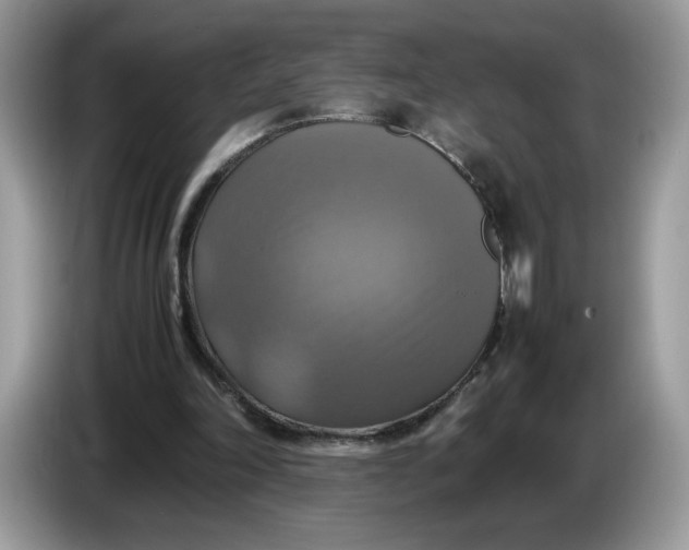 X0000086760198200704271737