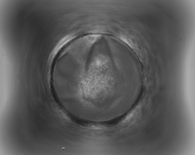 X0000086760199200704271737