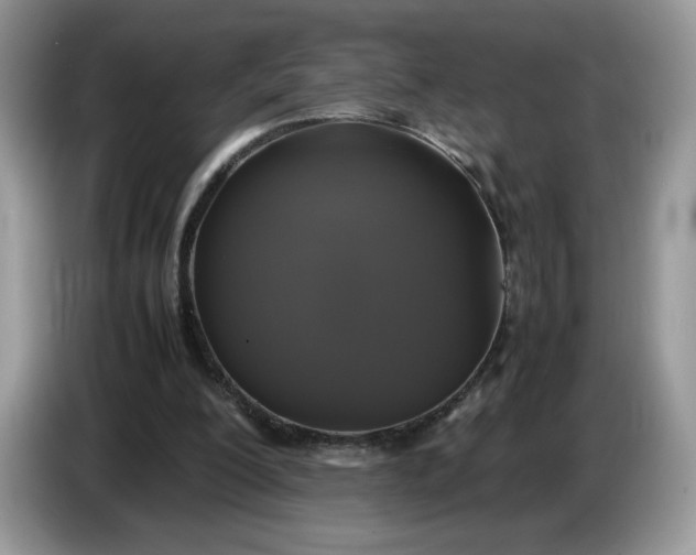 X0000086760200200704271737