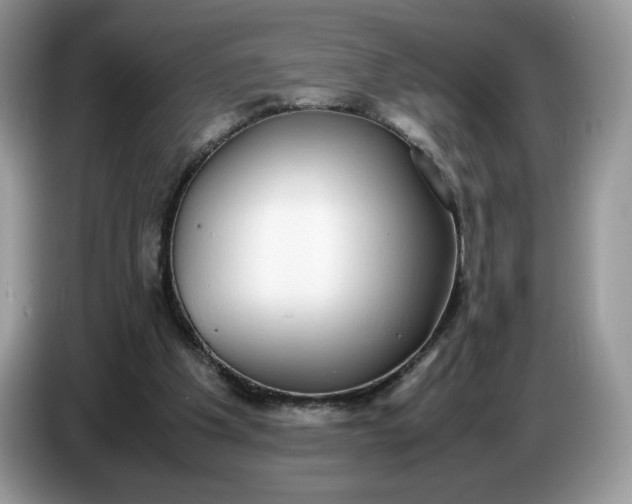 X0000086760201200704271737