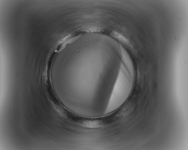 X0000086760202200704271737