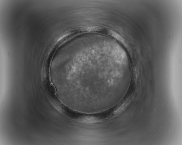 X0000086760203200704271737