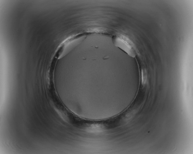 X0000086760204200704271737