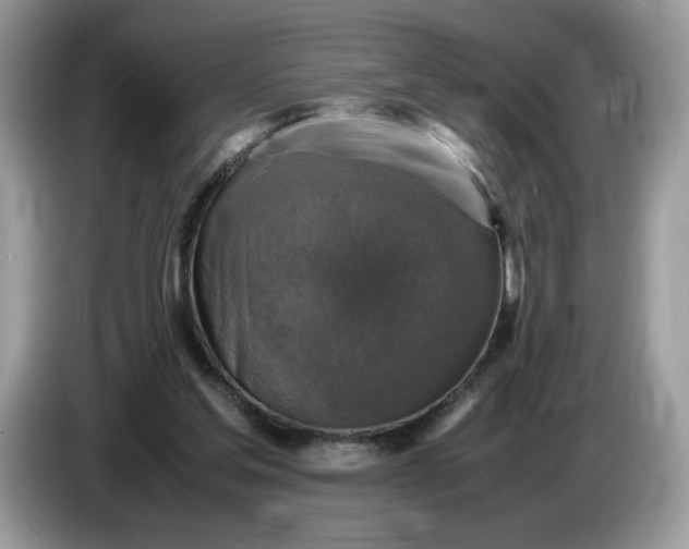 X0000086760205200704271737