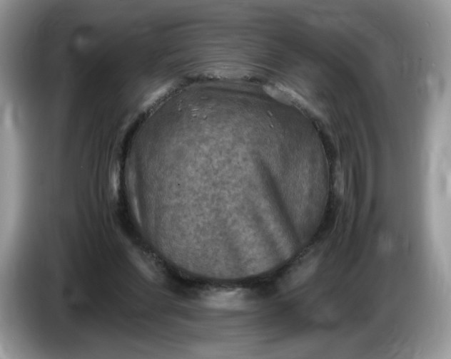 X0000086760206200704271737